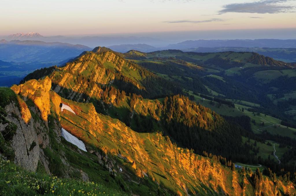 Alpin & Wellness Resort Hotel Ludwig Royal Oberstaufen Luaran gambar